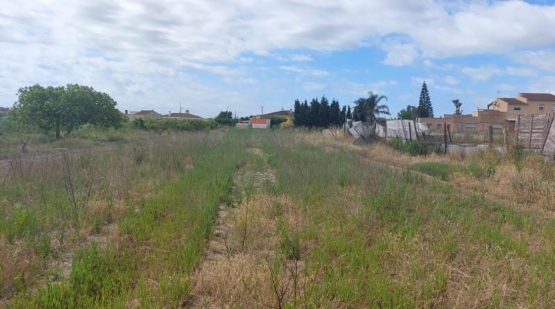 Tarragona - Deltebre - 2049m2