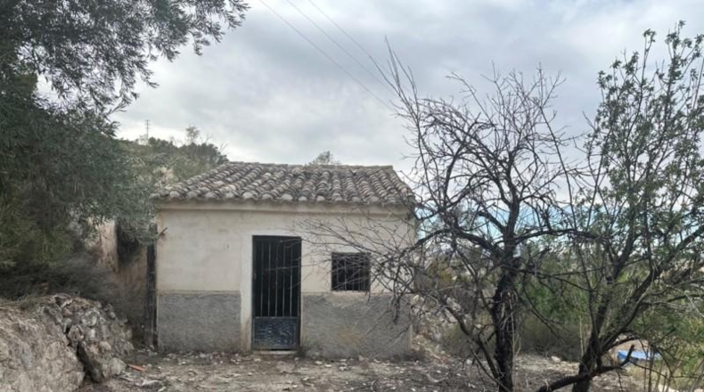 Comunidad de Madrid - Madrid - 3500m2
