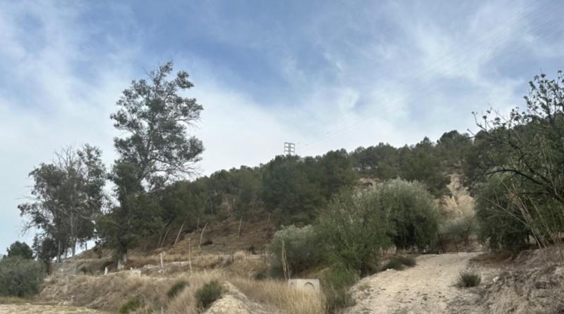 Comunidad de Madrid - Madrid - 3500m2