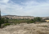 Casa de camp amb terreny en venda a la España, Cieza, ref.: TR295860 foto