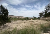Casa de camp amb terreny en venda a la España, Cieza, ref.: TR295860 foto