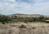 Casa de camp amb terreny en venda a la España, Cieza, ref.: TR295860 foto
