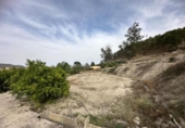 Casa de camp amb terreny en venda a la España, Cieza, ref.: TR295860 foto