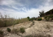 Casa de camp amb terreny en venda a la España, Cieza, ref.: TR295860 foto