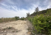 Casa de camp amb terreny en venda a la España, Cieza, ref.: TR295860 foto