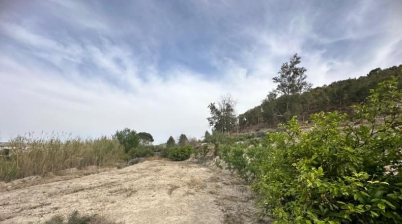 Comunidad de Madrid - Madrid - 3500m2