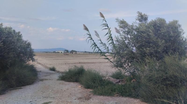 Murcia - Totana - 6914m2