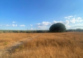 Terreny no urbanitzable en venda a la España, La Puebla de Cazalla, ref.: TR343243 foto
