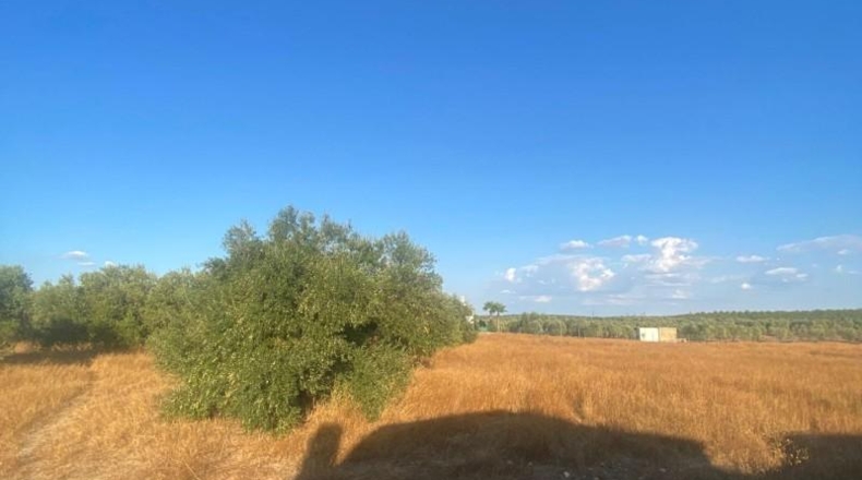 Seville - La Puebla de Cazalla - 37000m2