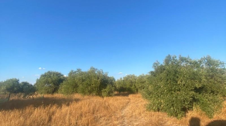 Seville - La Puebla de Cazalla - 37000m2