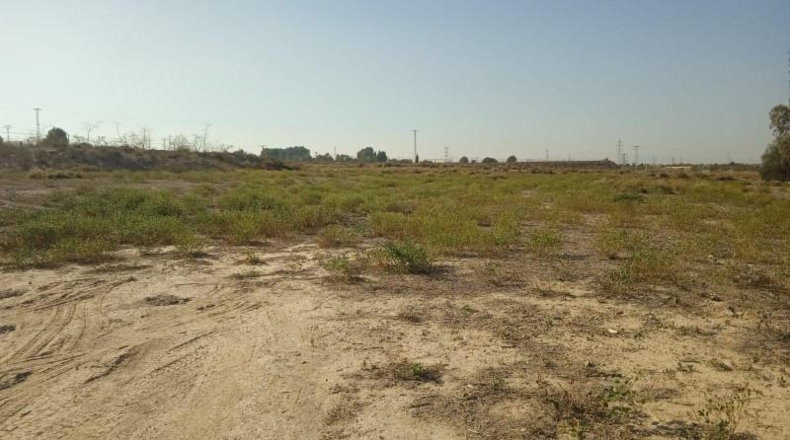 Мурсия - Alhama de Murcia - 13700m2