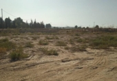 Terreno no urbanizable en venta en la España, Alhama de Murcia, ref: TR366493 foto