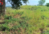 Городская земля под застройку на продажу у города Riudarenes Фото