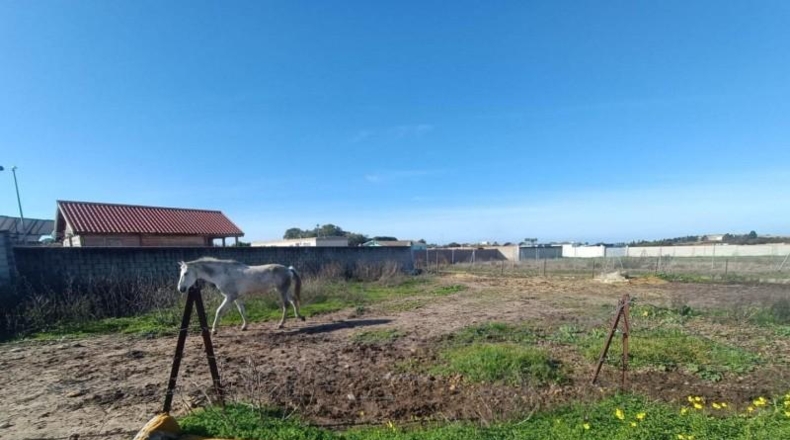 Cádiz - El Puerto de Santa María - 600m2