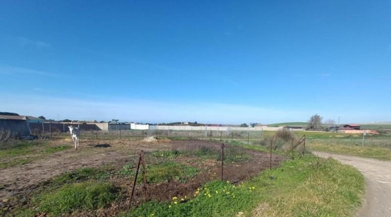 Cádiz - El Puerto de Santa María - 600m2