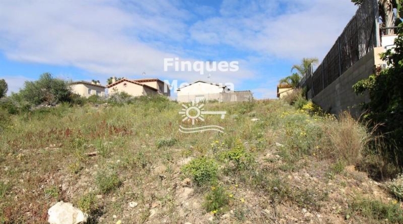 Tarragona - la Bisbal del Penedès - 512m2
