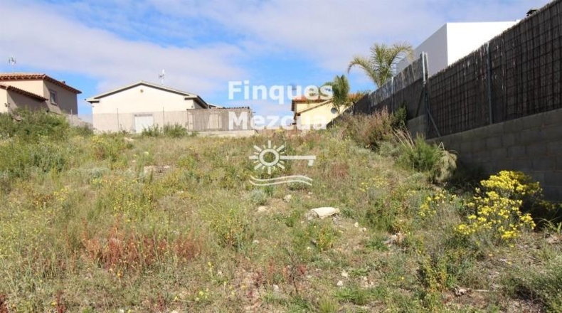Tarragona - la Bisbal del Penedès - 512m2
