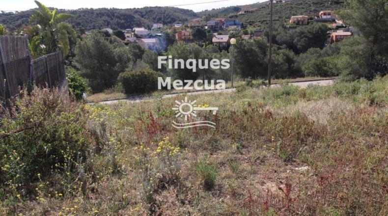 Tarragona - la Bisbal del Penedès - 512m2
