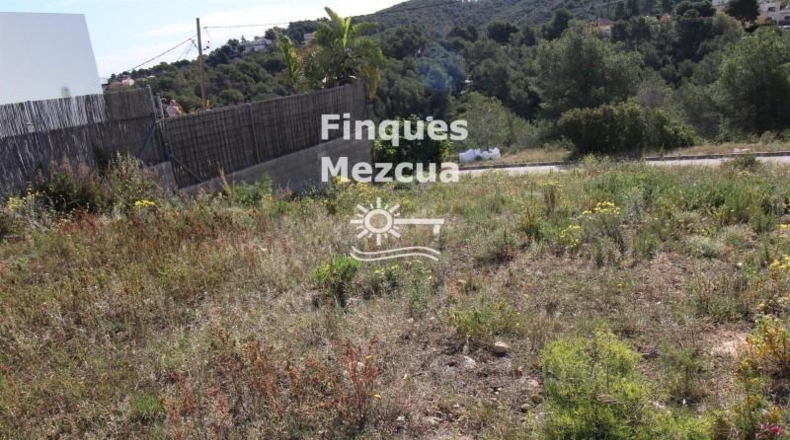 Tarragona - la Bisbal del Penedès - 512m2