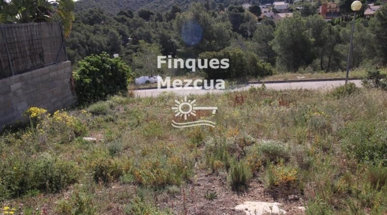 Tarragona - la Bisbal del Penedès - 512m2