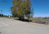Casa amb terreny en venda a la España, Azuaga, ref.: TR292337 foto