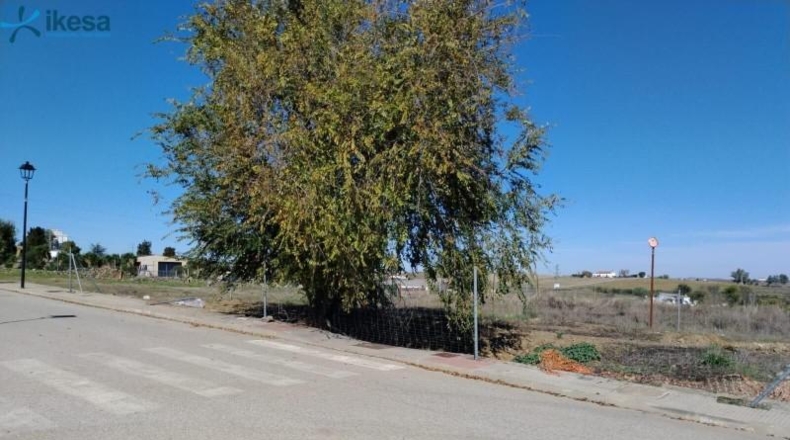 Badajoz - Azuaga - 946m2
