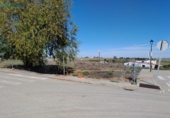 Casa amb terreny en venda a la España, Azuaga, ref.: TR292337 foto