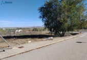 Casa amb terreny en venda a la España, Azuaga, ref.: TR292337 foto