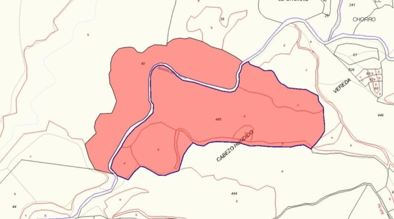 Murcia - Molina de Segura - 186800m2