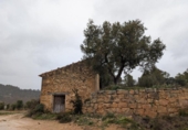 Xalet independent amb terreny en venda a la España, la Torre del Comte, ref.: TR336500 foto