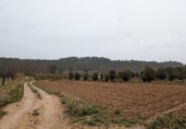 Xalet independent amb terreny en venda a la España, la Torre del Comte, ref.: TR336500 foto