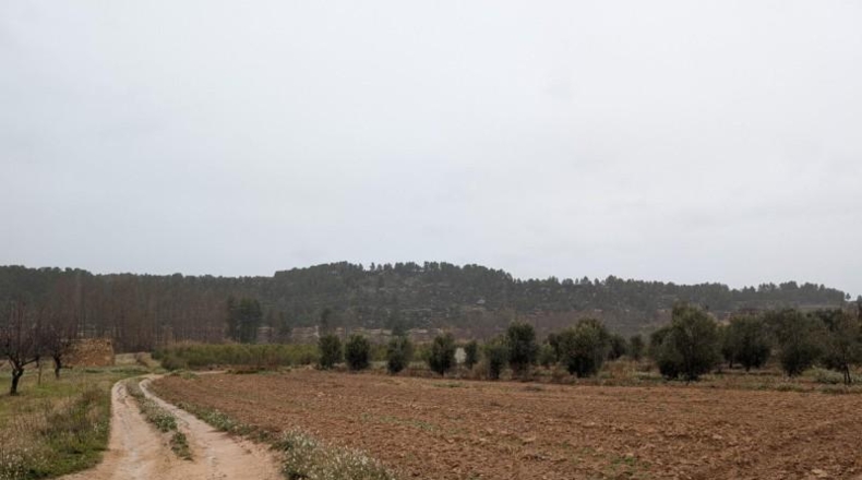 Teruel - la Torre del Comte - 13997m2