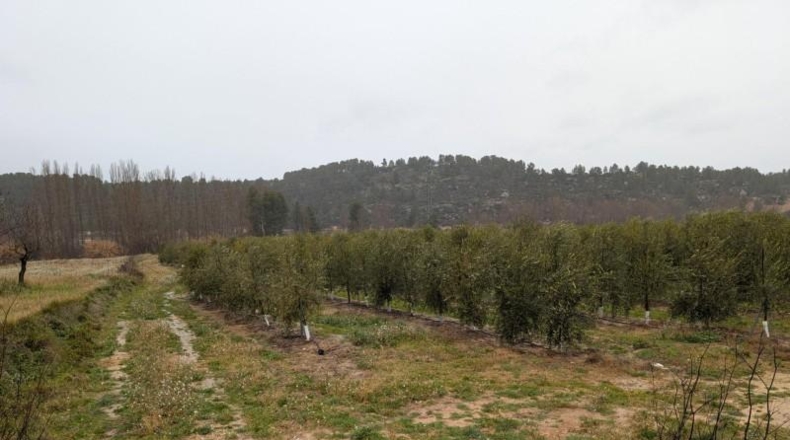 Teruel - la Torre del Comte - 13997m2
