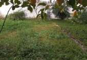 Suelo urbano en venta en la España, Cantillana, ref: TR271589 foto