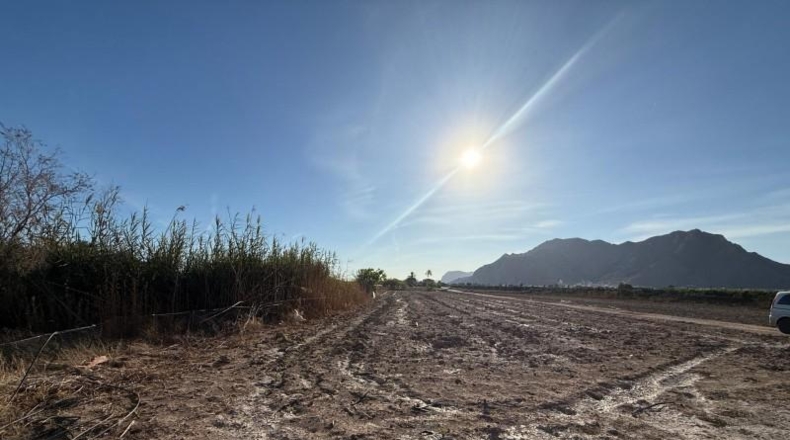 Аликанте - Кальоса-де-Сегура - 1587m2