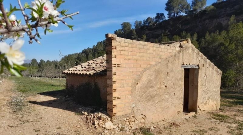 Tarragona - Ginestar - 45777m2