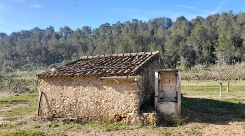 Tarragona - Ginestar - 45777m2
