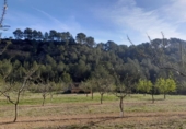Parcel·la urbanitzable en venda a la España, Ginestar, ref.: TR128825 foto