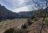 Parcel·la urbanitzable en venda a la España, Ginestar, ref.: TR128825 foto