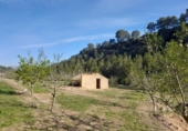 Parcel·la urbanitzable en venda a la España, Ginestar, ref.: TR128825 foto