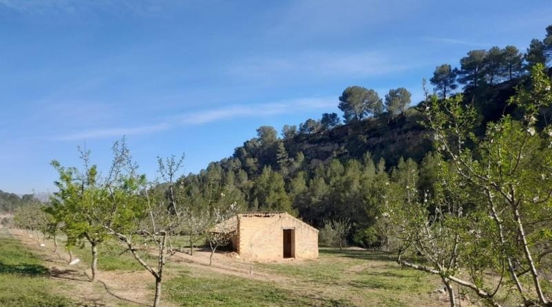 Tarragona - Ginestar - 45777m2
