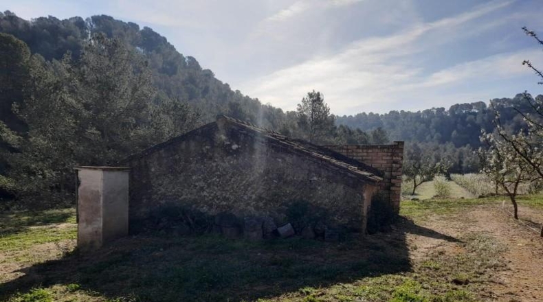 Tarragona - Ginestar - 45777m2