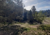Parcel·la urbanitzable en venda a la España, Ginestar, ref.: TR128825 foto