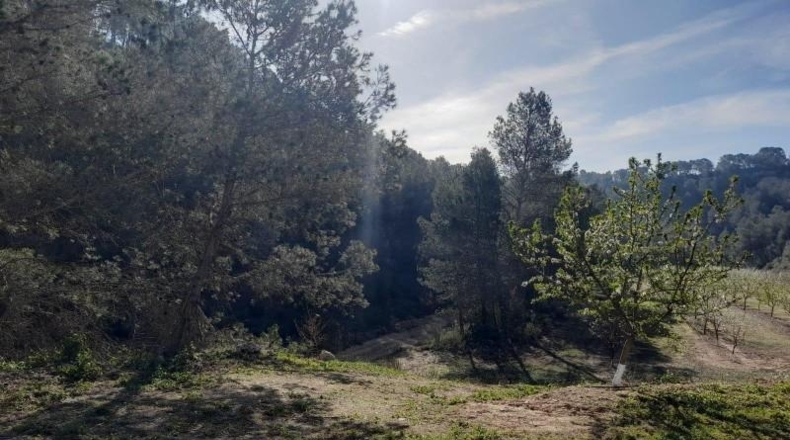 Tarragona - Ginestar - 45777m2