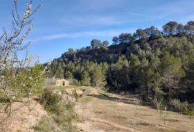 Foto 14