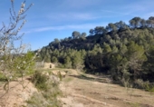 Parcel·la urbanitzable en venda a la España, Ginestar, ref.: TR128825 foto