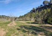 Parcel·la urbanitzable en venda a la España, Ginestar, ref.: TR128825 foto