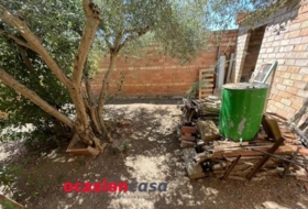Foto 7
