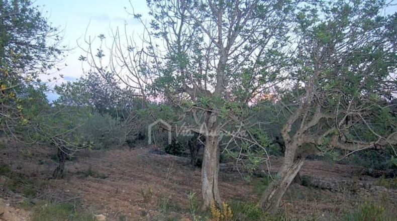 Tarragona - el Perelló - 22303m2