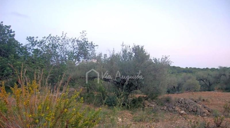 Tarragona - el Perelló - 22303m2